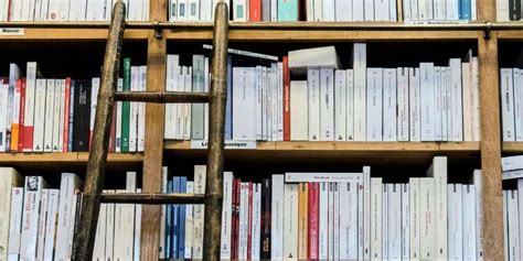 Meta-Analysis Definition 的图像结果