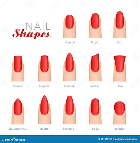 Professional Manicure Different Shapes of Nails Vector Stock Vector ...