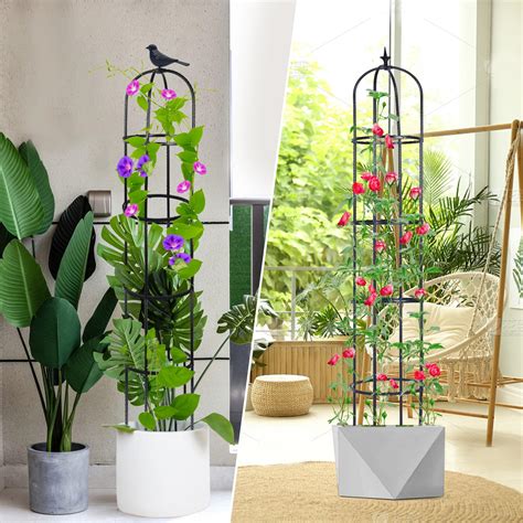 Snapklik.com : 2 Pack Garden Obelisk Trellis For Climbing Plants Indoor ...
