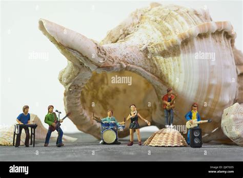 Image result for Conch Shell Soundtrack