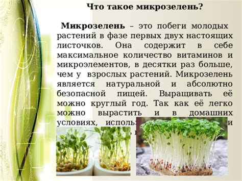 Презентация: Исследовательский проект "Микрозелень. Полезно? Вкусно?"
