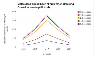 Image result for Enzyme-Controlled Reactions Virtual Lab