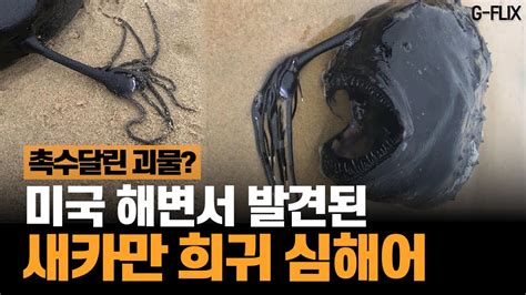 Image result for Alien Movement