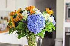 fiori a casa curare i fiori in casa piante appartamento come fiori a casa curare i fiori in casa piante appartamento come
