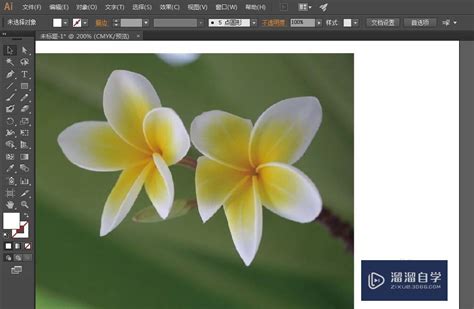 Ai 如何抠图 的图像结果