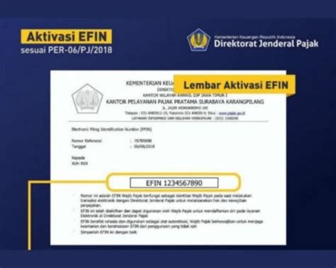 Dear Pemilik EFIN Pajak Se-Indonesia, Ada Info Terbaru dari Ditjen ...