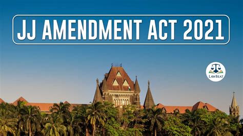 "We Have Not Stayed Adoption Process": Bombay High Court Clarifies On ...