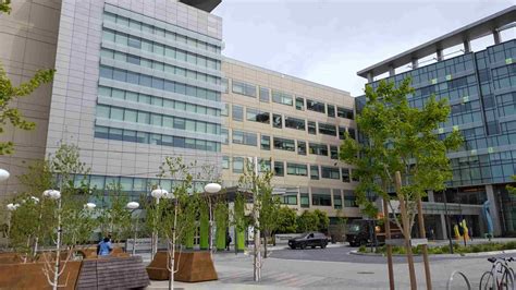 Best Dental Schools in the U.S.