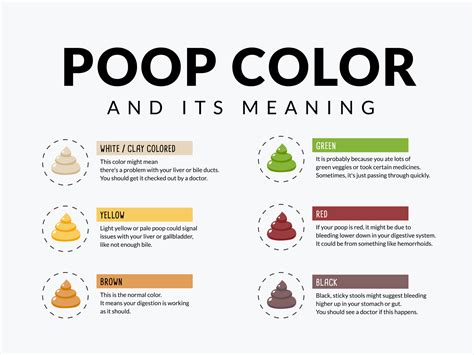 Why Is My Poop Red? - Ethical Inc