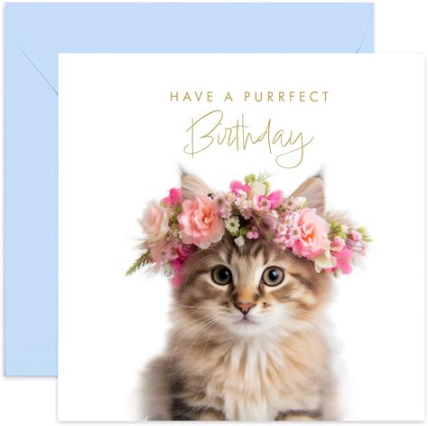 Old English Co. Cute Kitten Purrfect Birthday Card for Her - Fun Cat ...