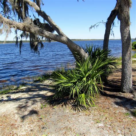 LAKE MANATEE STATE PARK - All You Need to Know BEFORE You Go 2026 (with ...