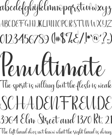 Image result for Simple Script Font
