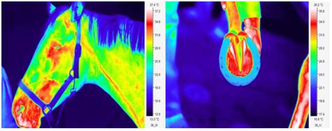 TP Technology Products