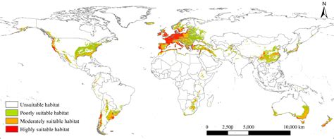 Frontiers | Potential global geographical distribution of Lolium temulentum L. under climate change
