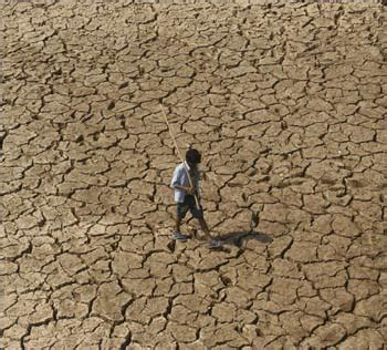 How UPA policies have hurt farmers, agriculture - Rediff.com Business