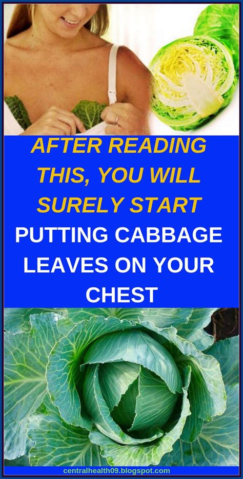 PUT A CABBAGE LEAF ON YOUR BREAST | Cabbage leaves, Cabbage, How to ...