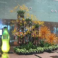D'source Design Gallery on Changi Airport - Artifacts - Views of the ...