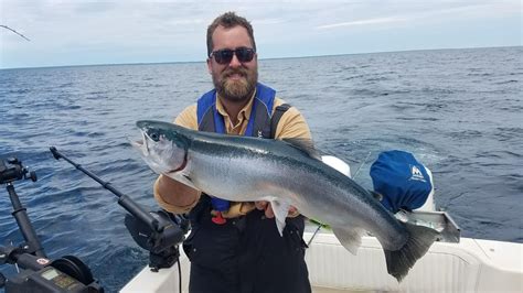 Salmon In Lake Michigan