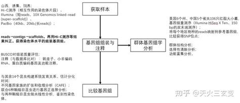 Intact Protein Deconvolution Chromeleon 的图像结果