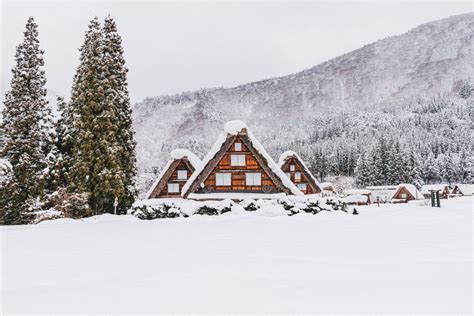 Nagoya's Best Spots for Snow and Winter Activities - Snow Monkey Resorts