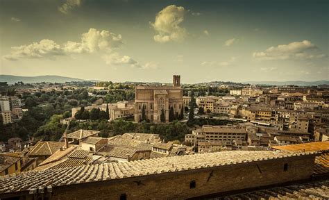 Image result for Python Siena