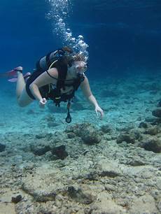 dive cozumel jen s updates scuba diving cozumel dive cozumel jen s updates scuba diving cozumel