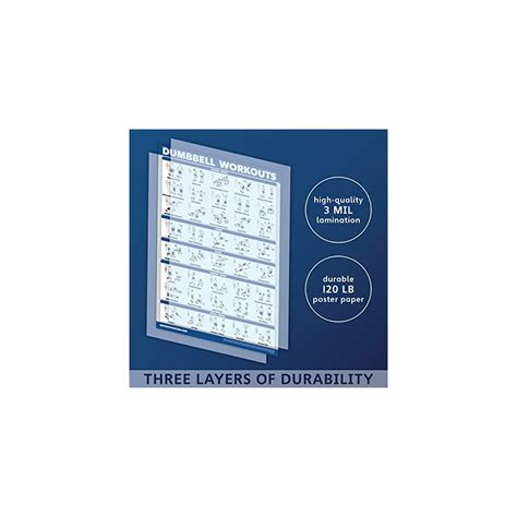 Buy Palace Learning Dumbbell Workout Exercise Poster - Free Weight Body ...