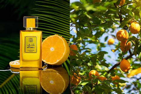 Get Bushra Perfume & Cologne - 250 GM | Naseem Perfume India