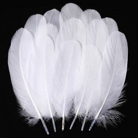 Amazon.com: Holmgren White Craft Goose Feathers - 200pcs 5-6inch White ...