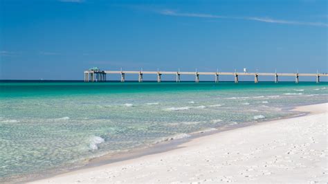 Are Dogs Allowed At John Beasley Beach Destin Fl