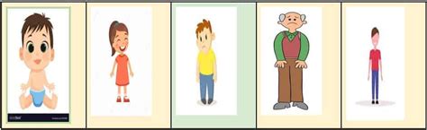 Selection Sort Algorithm 的图像结果