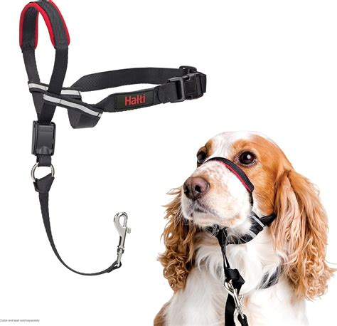 The 11 Best Dog Collars For Pulling - BestForPets.org