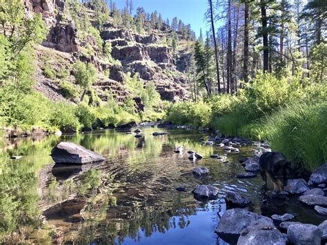 Keeping an eye out for crawfish somewhere on the Black River AZ # ...