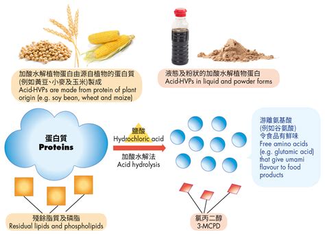 The Process Contaminant 3-MCPD in Condiments