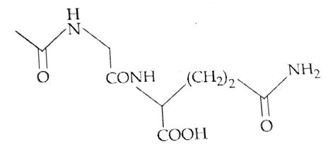 The dipeptide Gln-Gly on treatment with `CH_(3)COCI` followed by ...