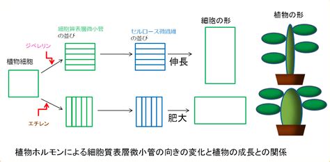 Image result for Example of Java API