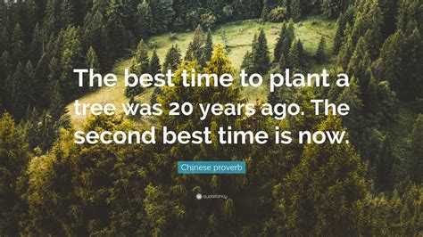 Chinese proverb Quote: “The best time to plant a tree was 20 years ago. The second best time is ...