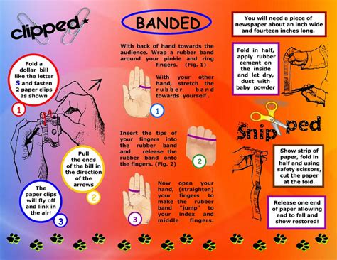 Image result for Free Magic Tricks Tutorials