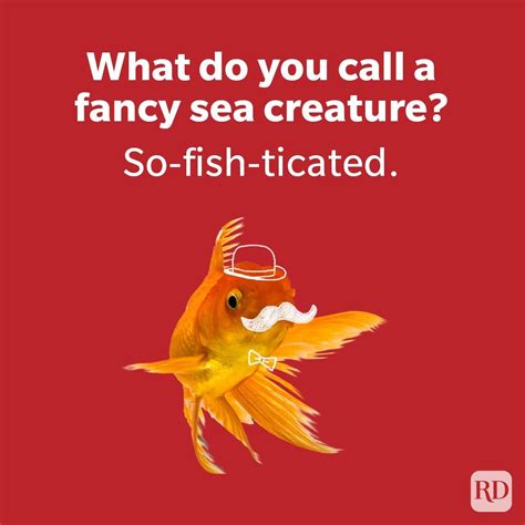 Laffy Taffy Puns Laffy Taffy Rope Strawberry The Smiley Barn