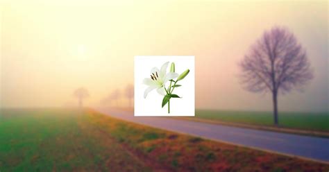 Obituary | Ms. Ailene Verlene Brooks of Callao, Virginia | BERRY O ...