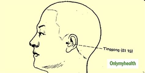 4 Accupressure Points on Body for Fast Weight Loss and Boost Metabolism ...
