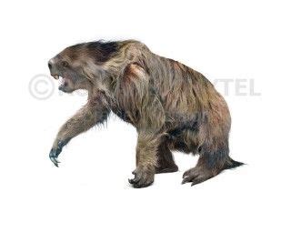 Extinct 的图像结果