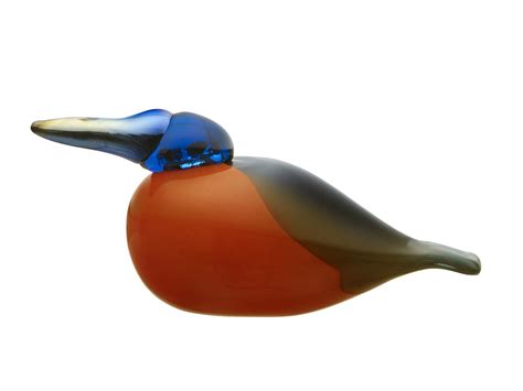 Iittala Glass Bird Limited-Edition, Kingfisher : Amazon.in: Home & Kitchen