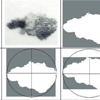 Image result for Shape Analysis in Feature Extraction Python