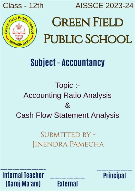Image result for Financial Statement Project Class 12