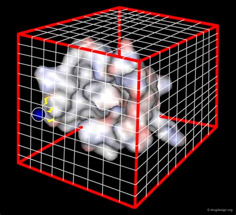 Image result for Molecular Docking Tutorial