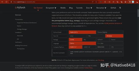 Pytorch 的图像结果