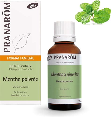 Buy Pranarôm Organic Peppermint Essential Oil (Mentha x Piperita) 30ml ...