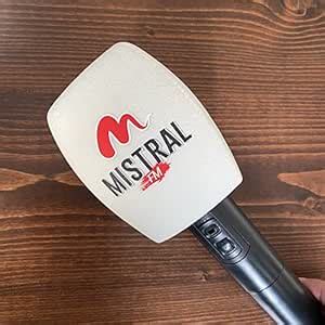 Customized Flocking Microphone Sponge Printing Logo Covers Mic ...