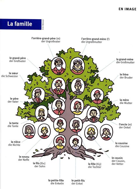 La famille | French teaching resources, Teaching french, Learn french